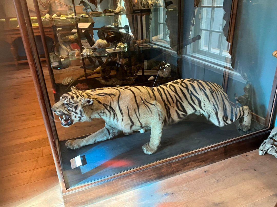 Natuurmuseum Fryslan-吕伐登必去景点