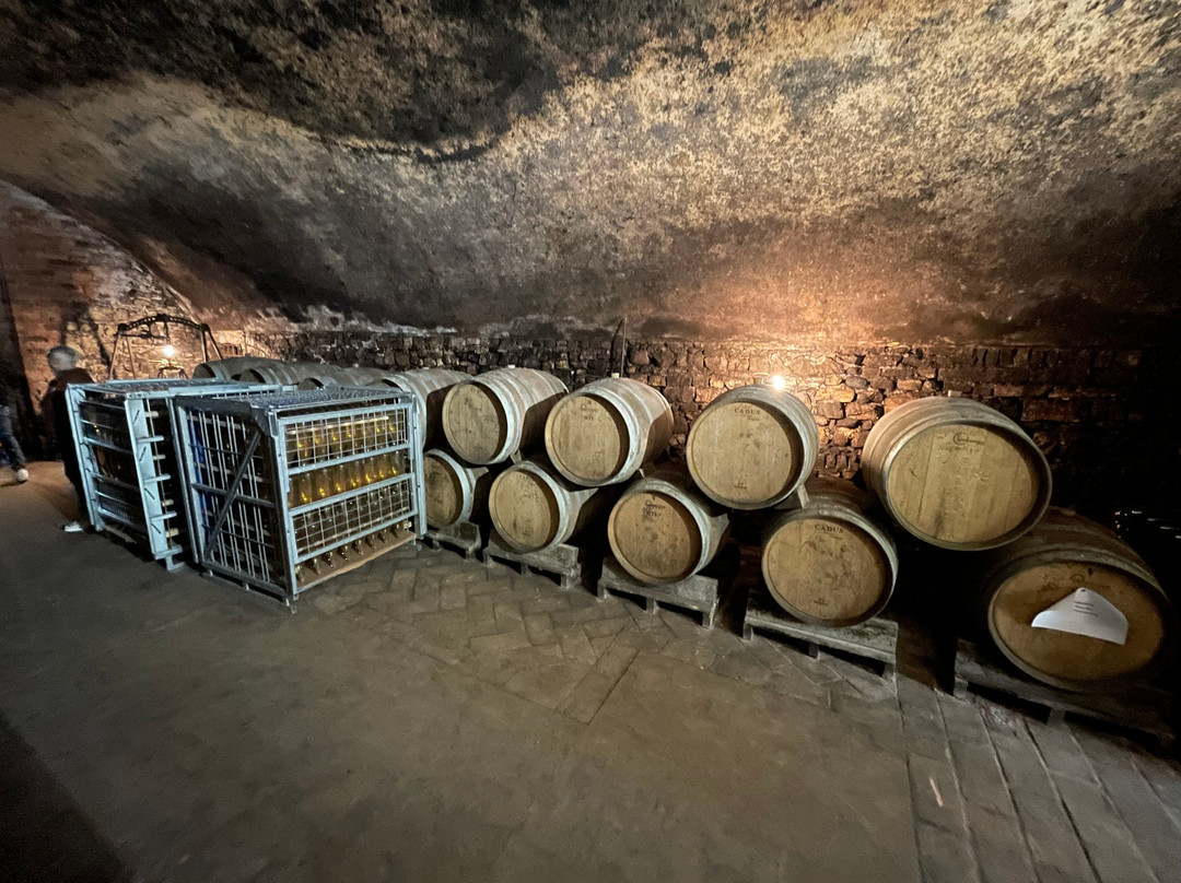 Cantina Luretta - Castello di Momeliano景点图片
