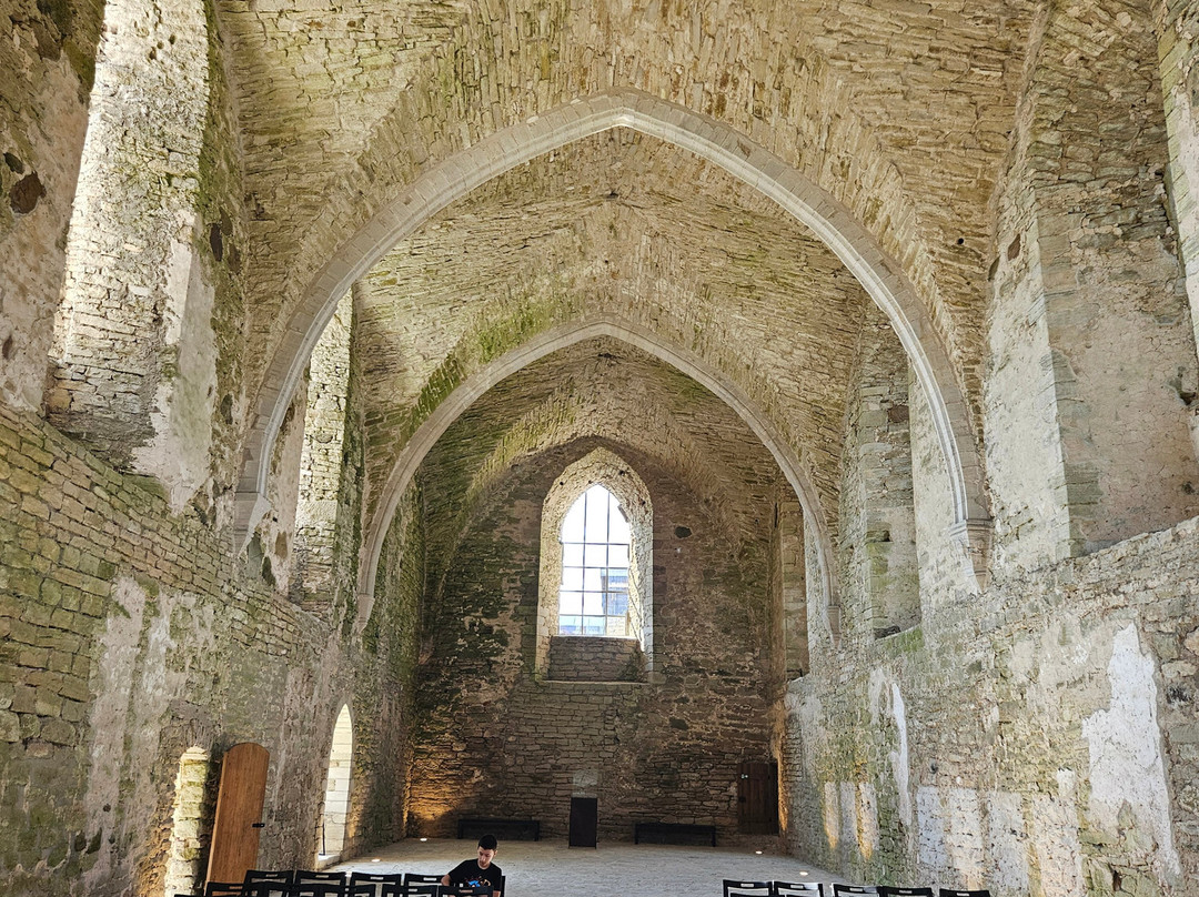 Padise Abbey-Padise必去景点