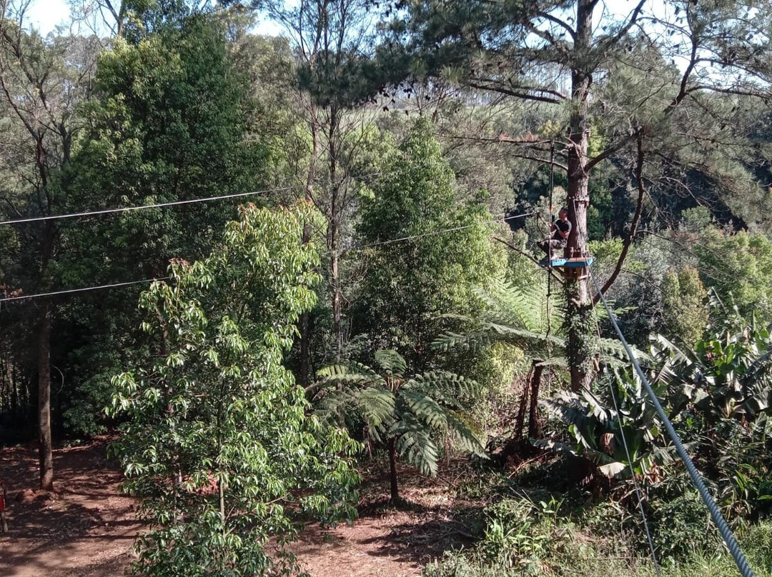 Acrobranch Hillcrest-Hillcrest必去景点