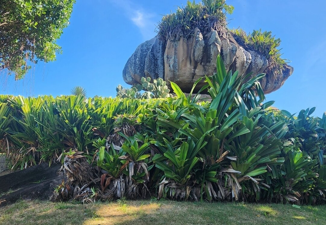 Parque Pedra da Cebola景点图片