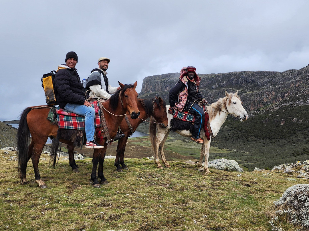 Bale Mountains Eco Tours Ethiopia景点图片
