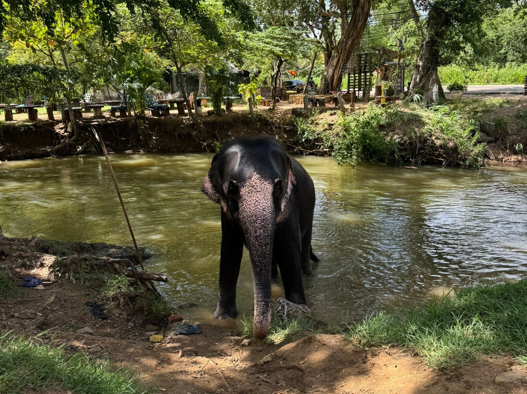 Indigo Lanka Travels-Aluthgama必去景点