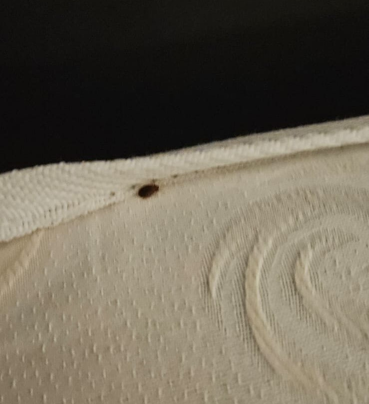 Hotel Philippion主图