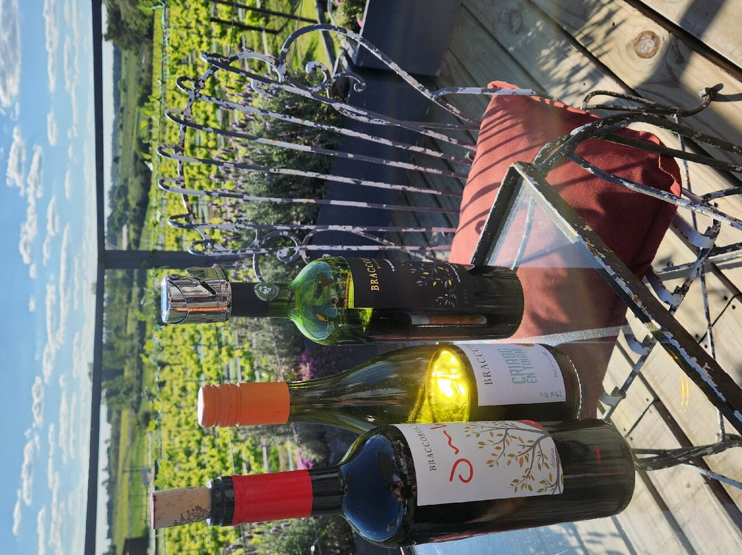 Bracco Bosca-Atlantida必去景点