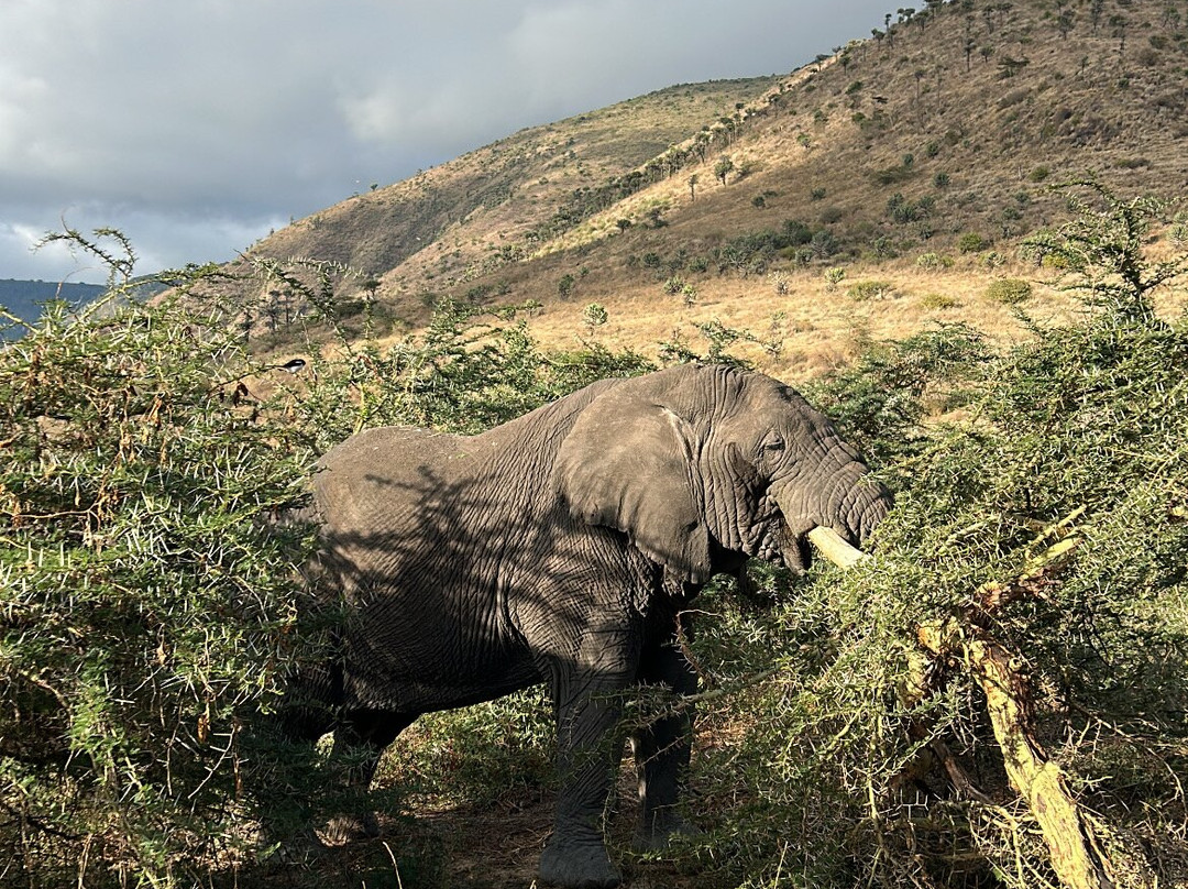 Zan Isaac Tours-桑给巴尔市必去景点