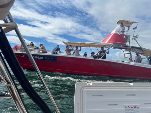 Zuma Tours-圣特雷莎必去景点