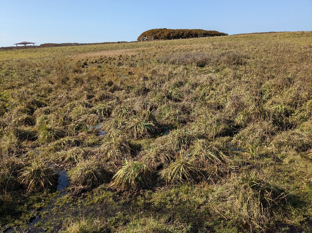 Northern Natural Flower Garden-根室市必去景点