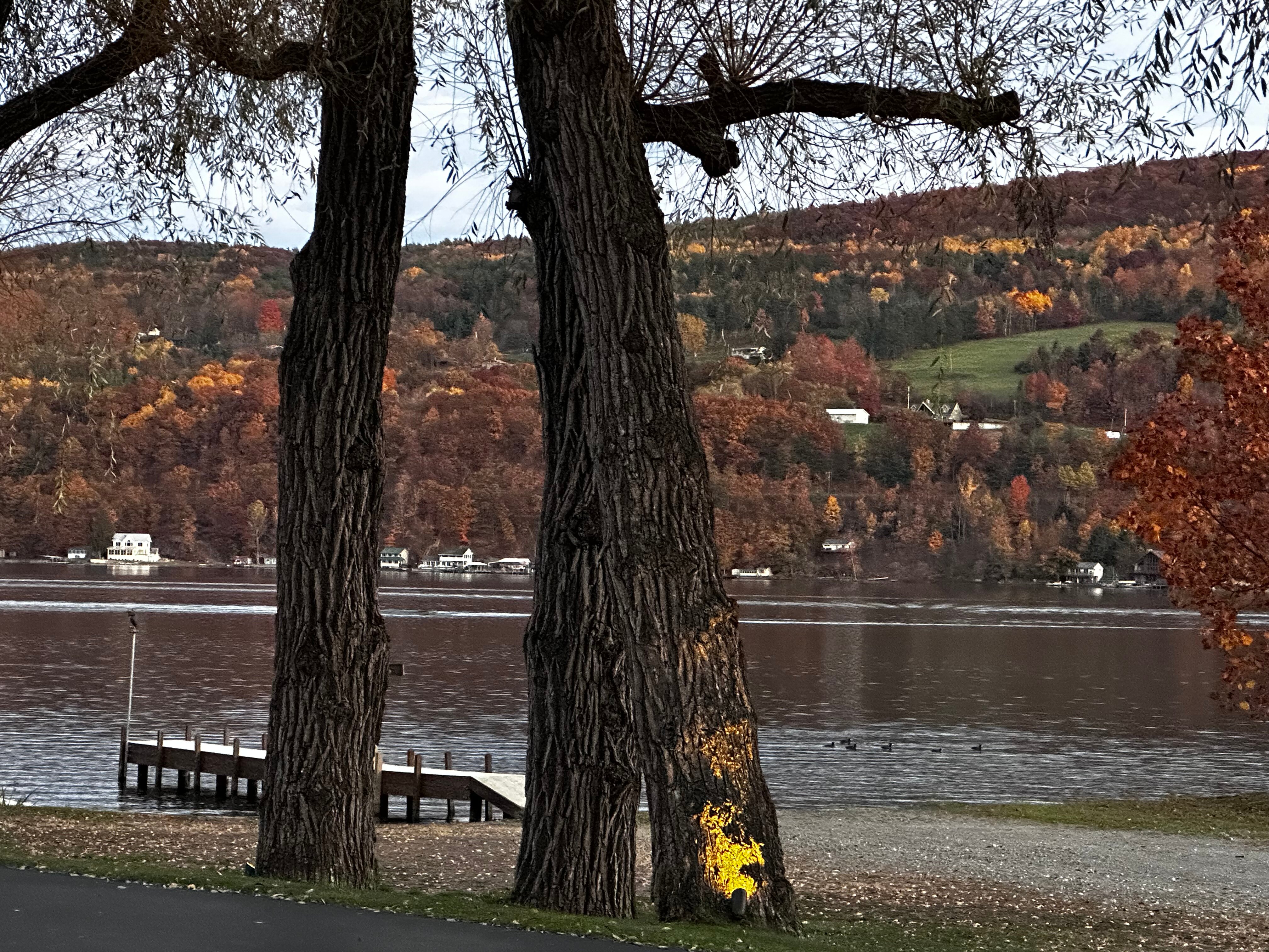 Keuka Lakeside Inn-酒店景观