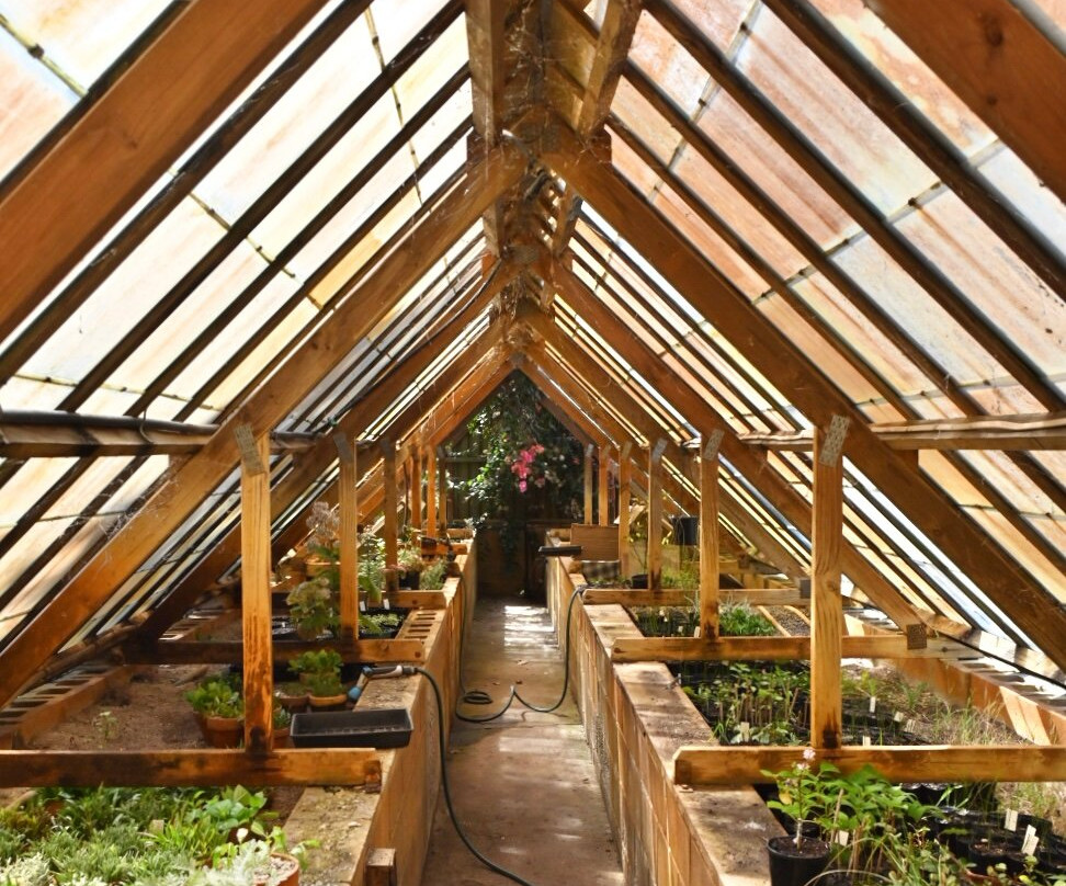 Raywood Nursery景点图片