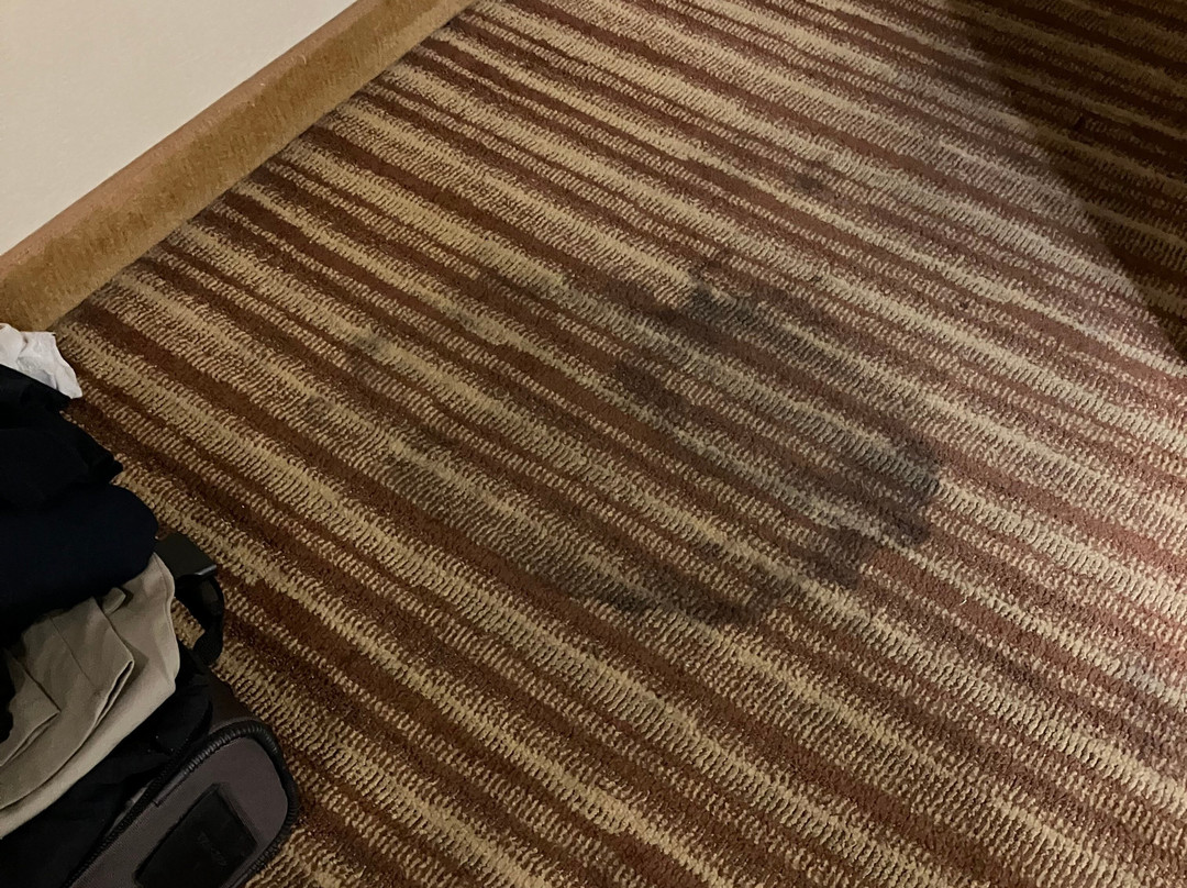 Quality Inn & Suites主图