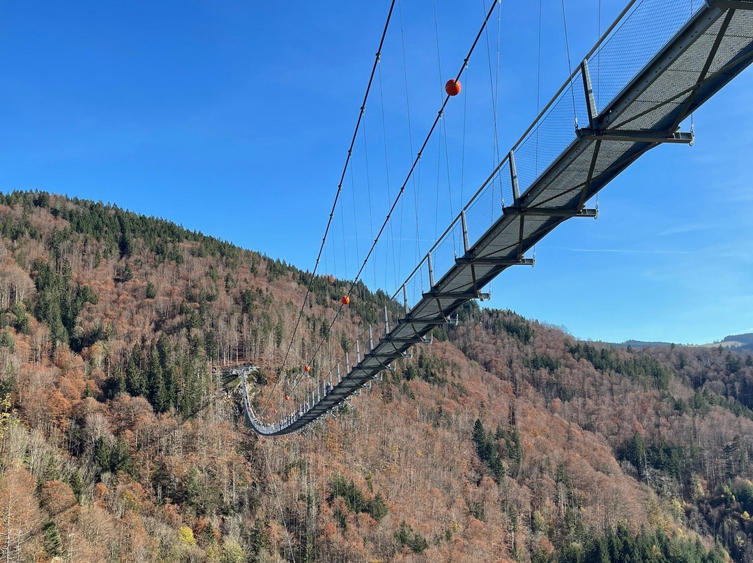 Black Forest Line Todtnau-托特瑙必去景点