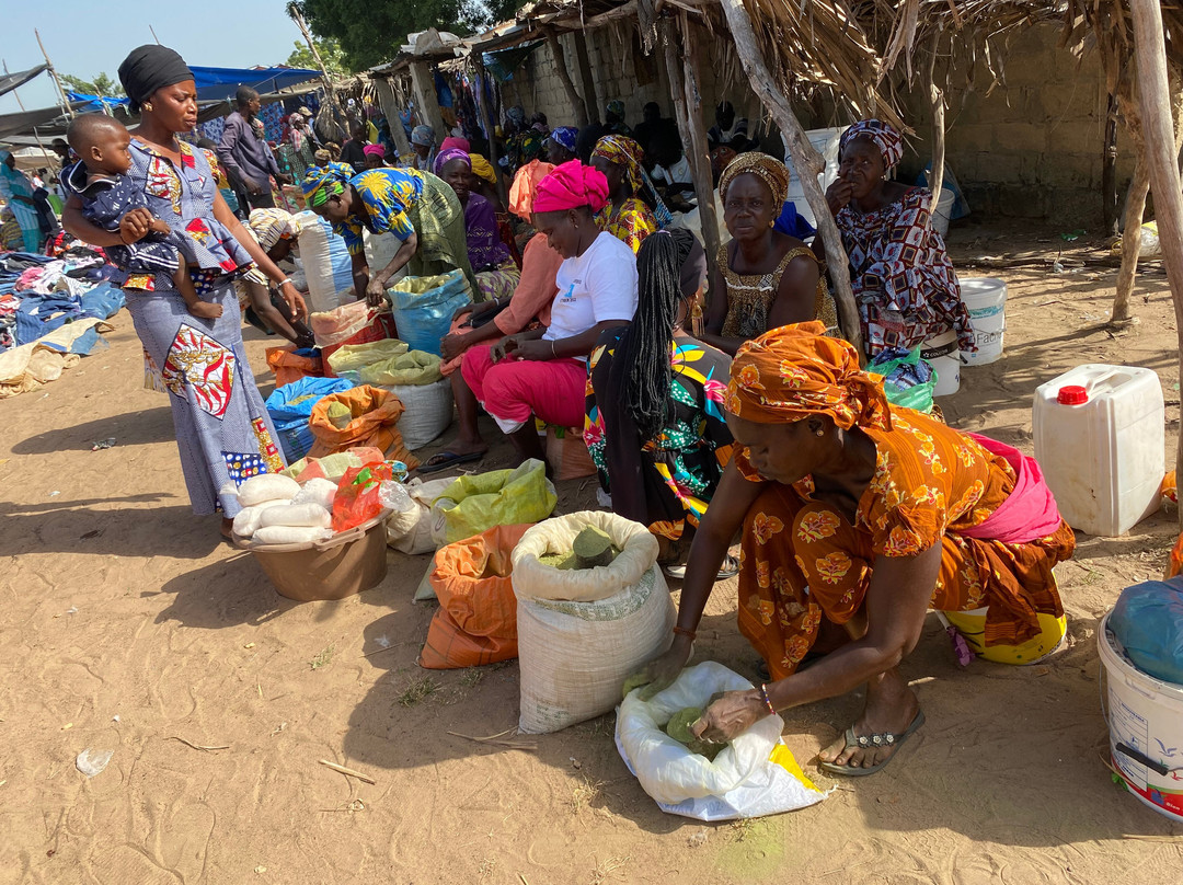 Senegal Voyage景点图片