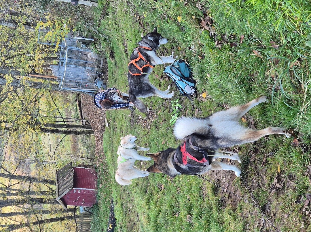 La Petite Finlande主图