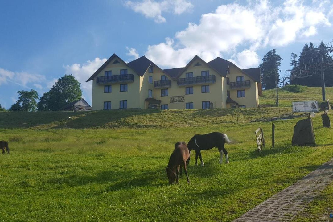 Połonina