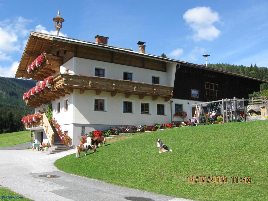 Schrunerhof
