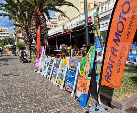 Churchills Bar Los Cristianos-特纳里夫必去景点