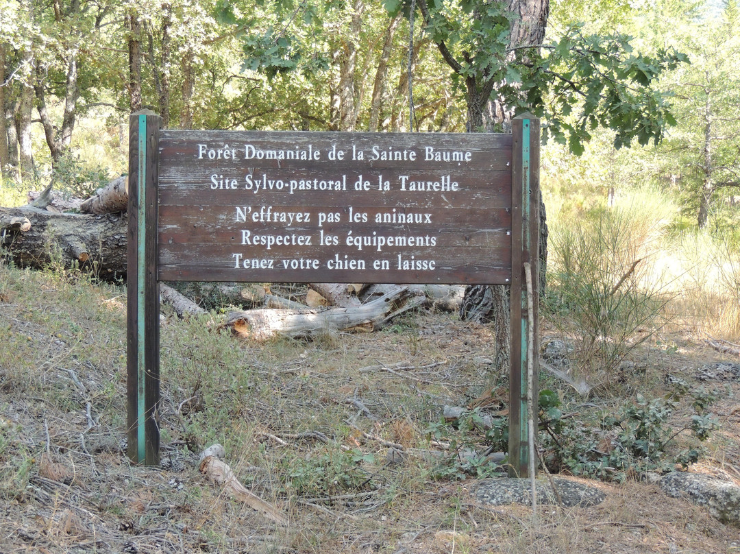 Les Sources de l'Huveaune景点图片