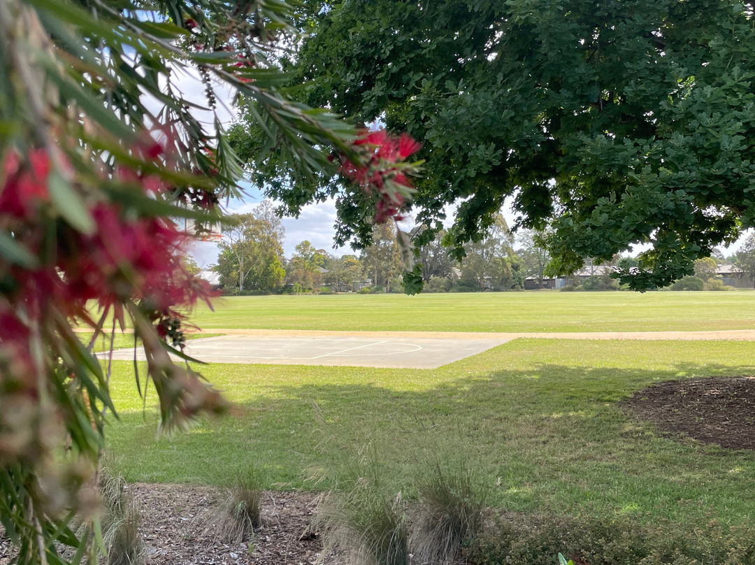 Stead Reserve-塞尔必去景点