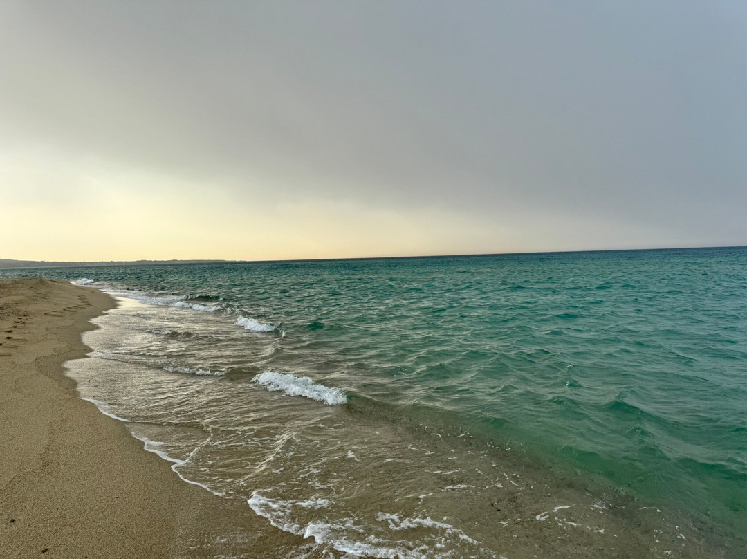 Spiaggia di Steccato di Cutro-Cutro必去景点