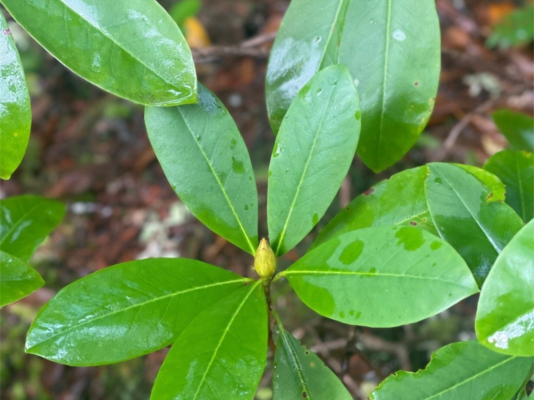 Bagby Hot Springs-Estacada必去景点
