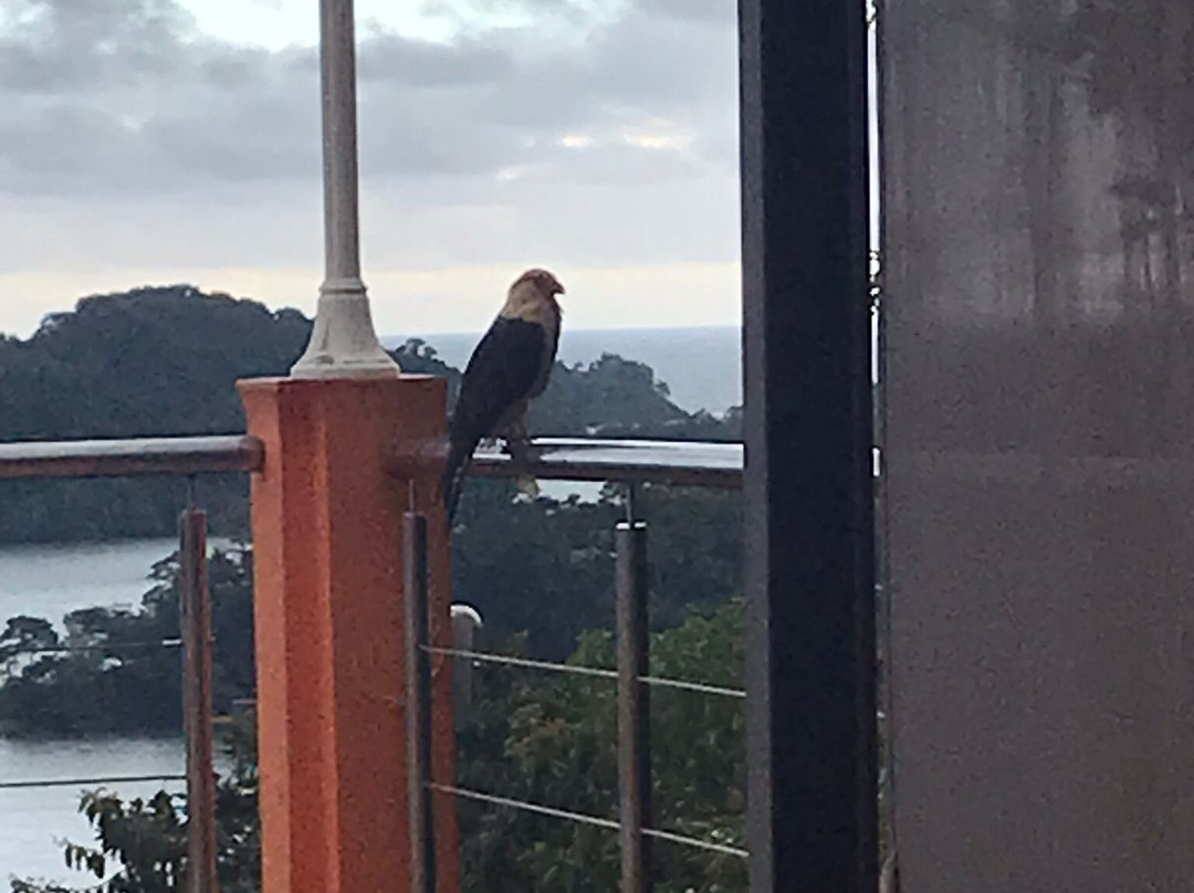 Boca Chica Bay Eco Lodge主图