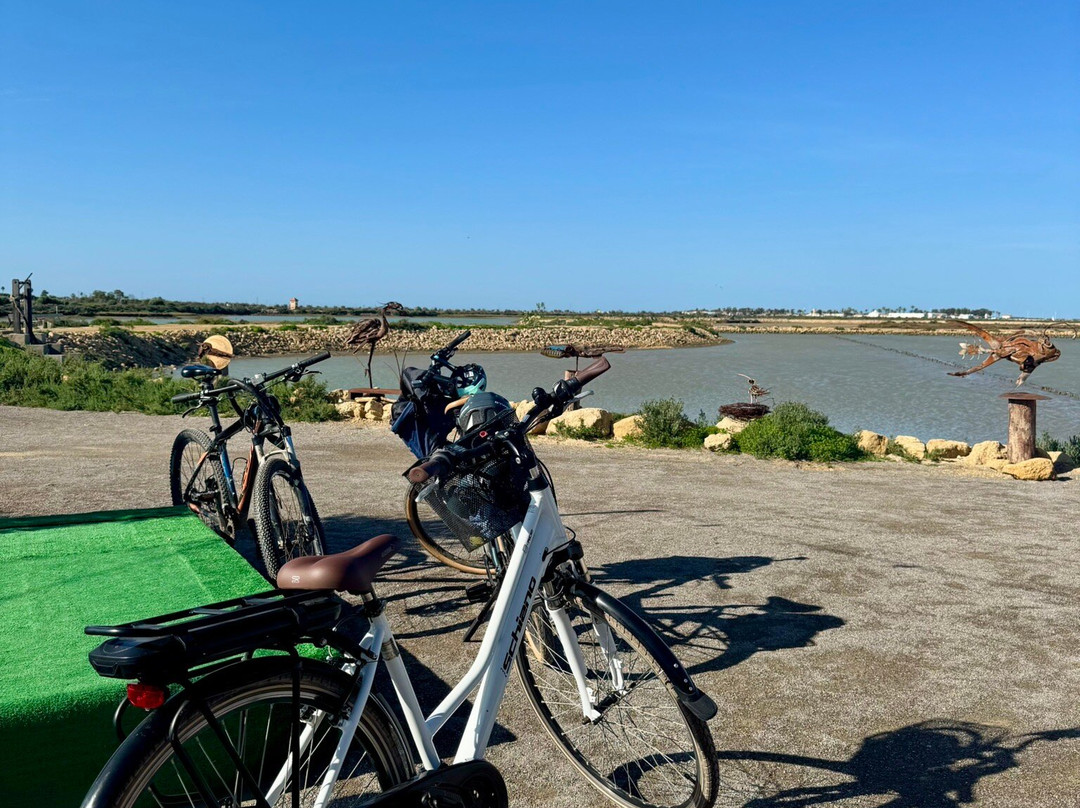 Luz Bikes