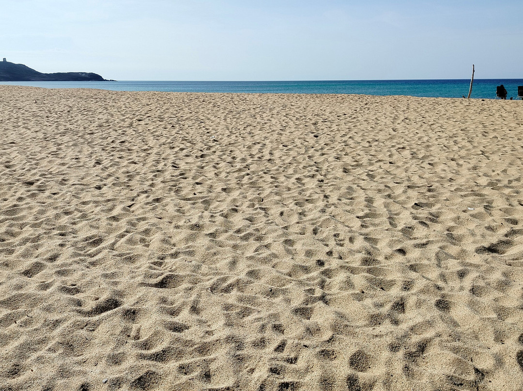 Anaele House Apartments主图