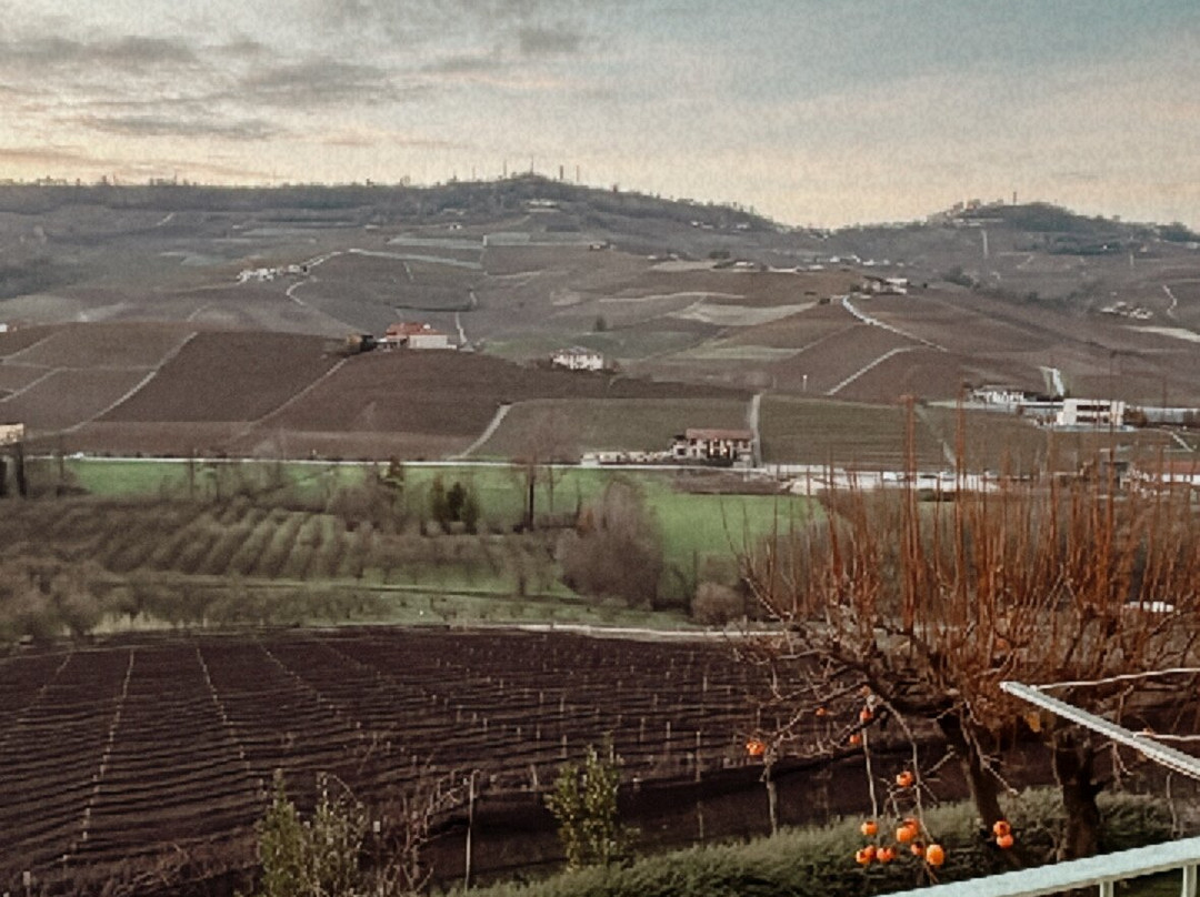 Azienda Agricola Cascina Pugnane S.S. dei F.lli Ghisolfi-Castiglione Falletto必去景点