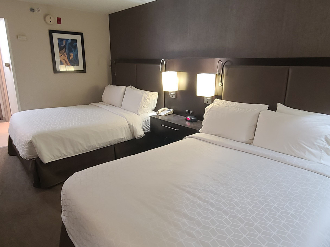 Holiday Inn Express & Suites Meadowlands Area By IHG主图