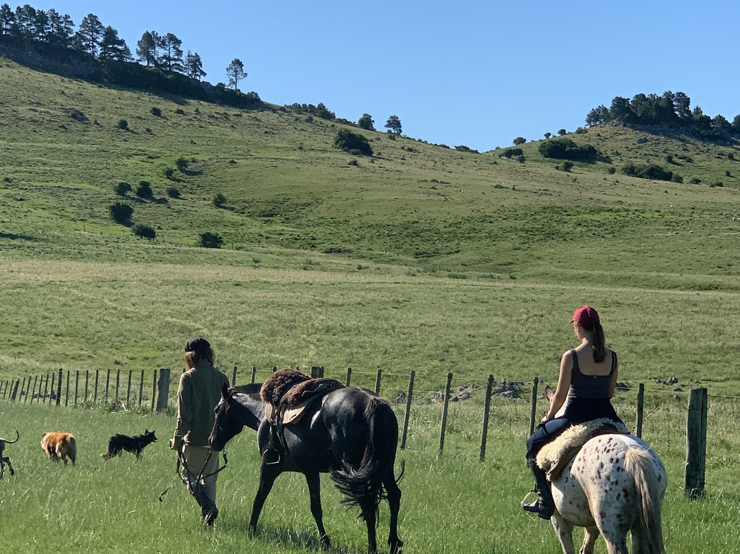 Estancia La Pilona Horse Farm-Mariscala必去景点
