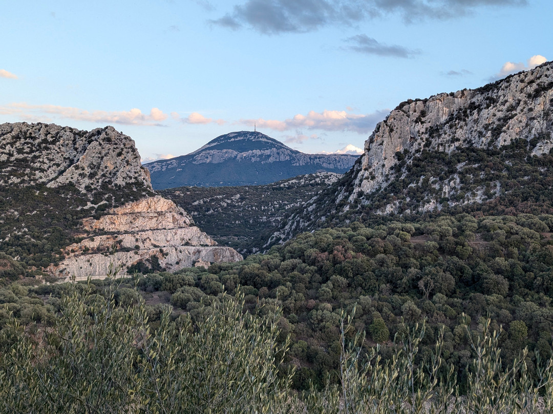 Sardinia ZonaBlu Tours-撒丁岛必去景点