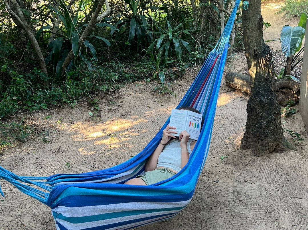 Safari and Surf-圣露西亚必去景点