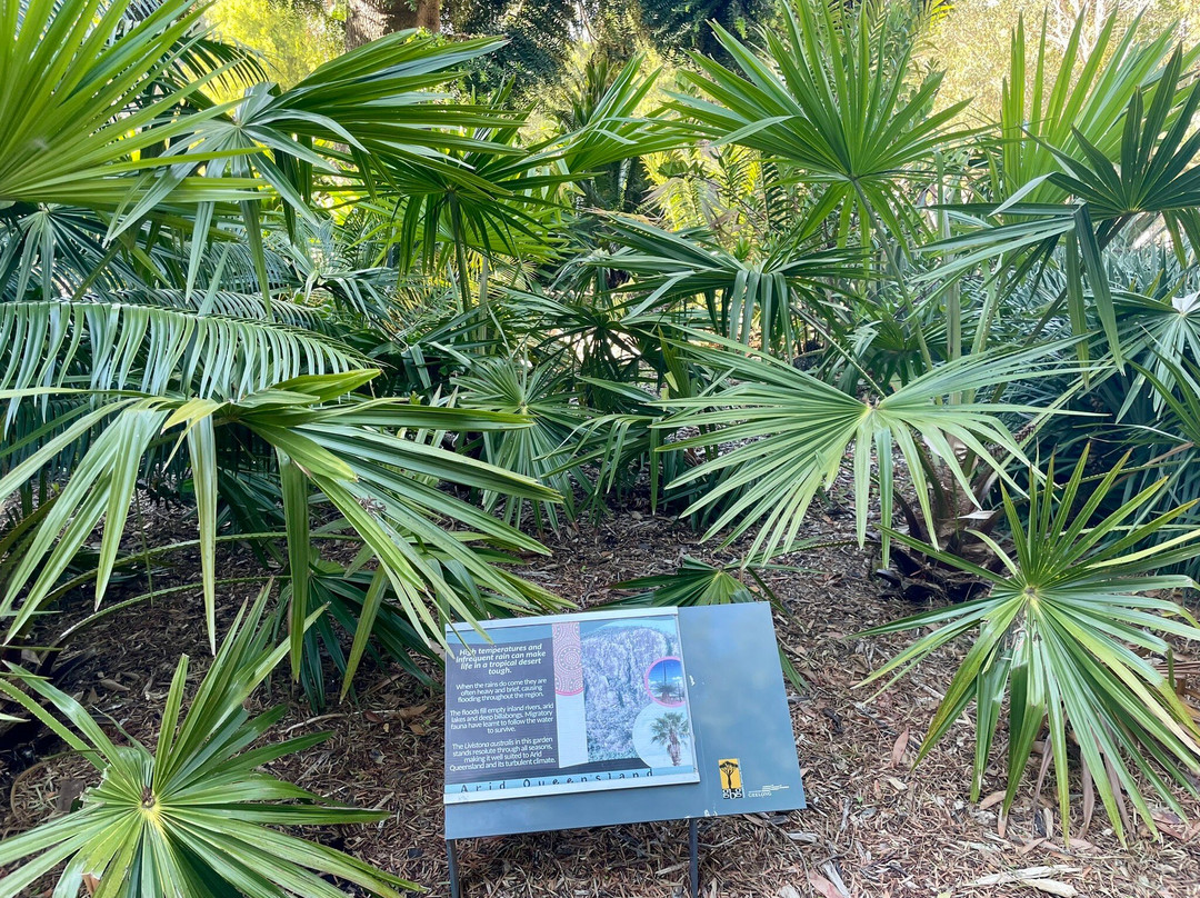 吉朗植物园-季隆必去景点