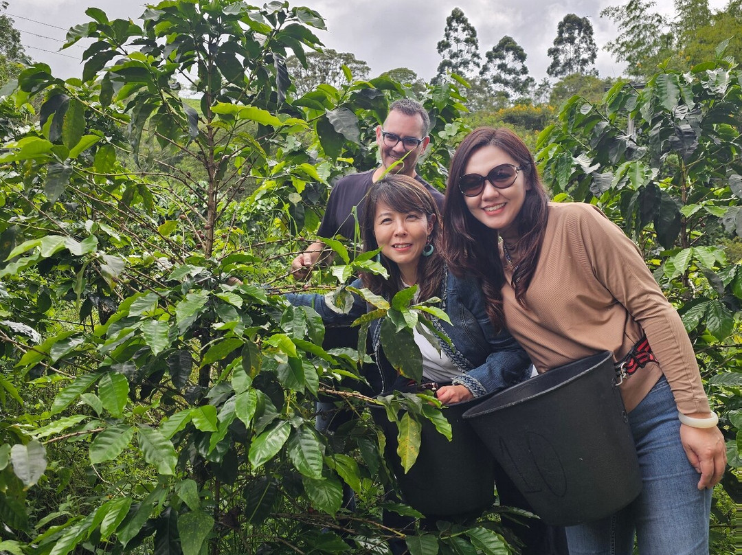 Finca El Tinto-La Vega必去景点