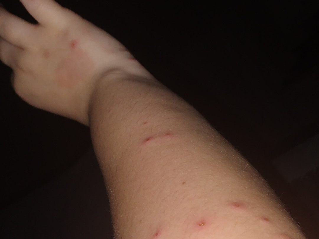 Super 8 by Wyndham Alma主图