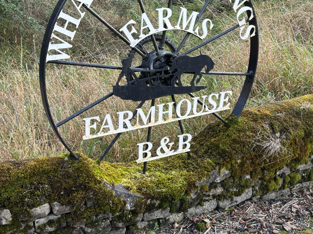 Whashton Springs Farmhouse B & B主图