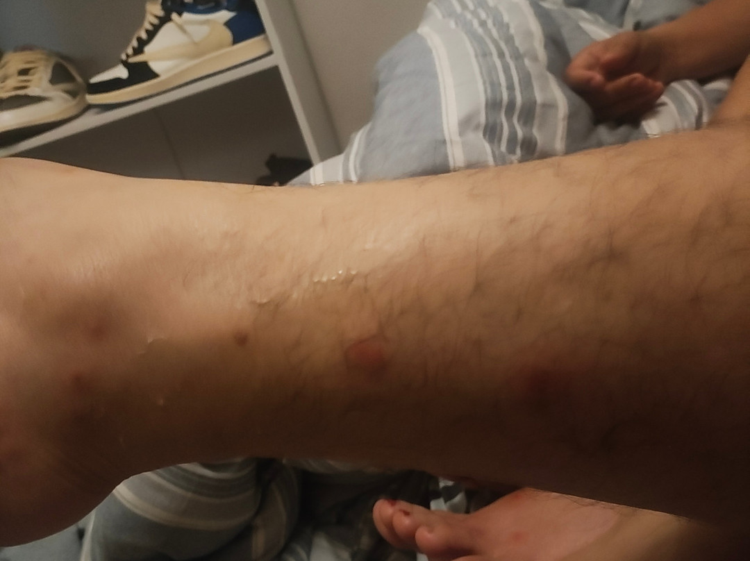 福特斯克瑞汽车旅馆加服务式公寓酒店主图