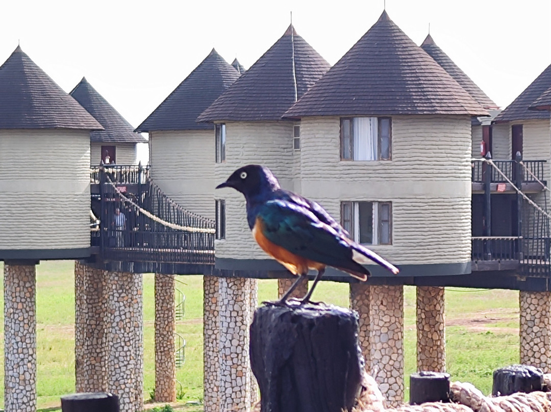 Kenya Trip Safaris-Gede必去景点