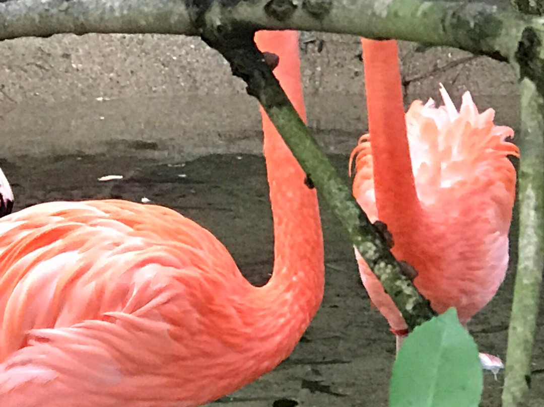 Salisbury Zoo-索尔兹伯里必去景点