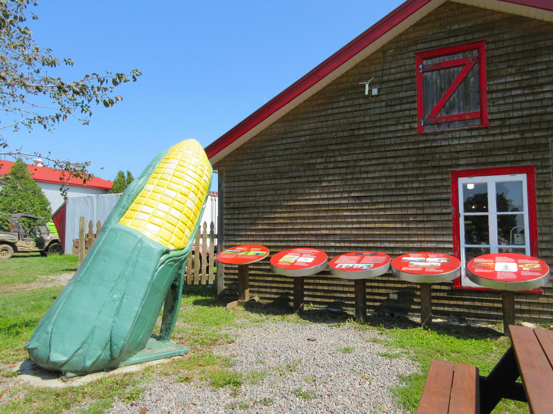 Ferme Langlois Chez Médé