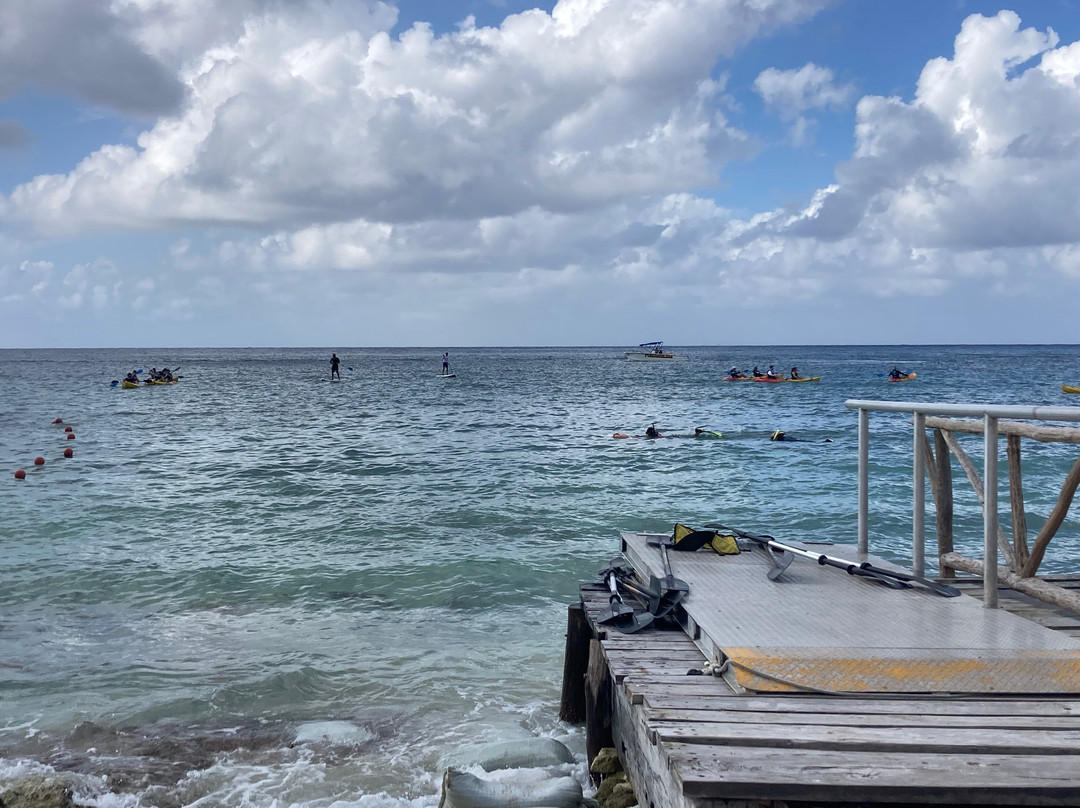 Playa Punta Uva景点图片
