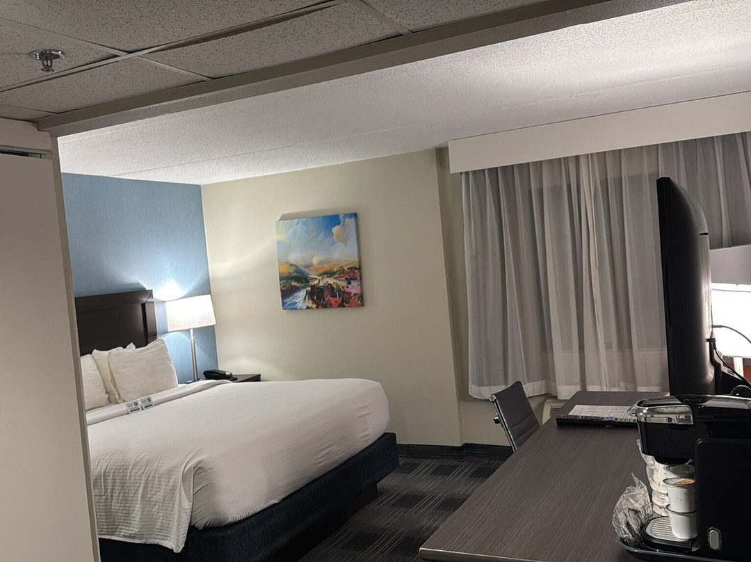 Best Western Plus Alexandria/fort Belvoir主图