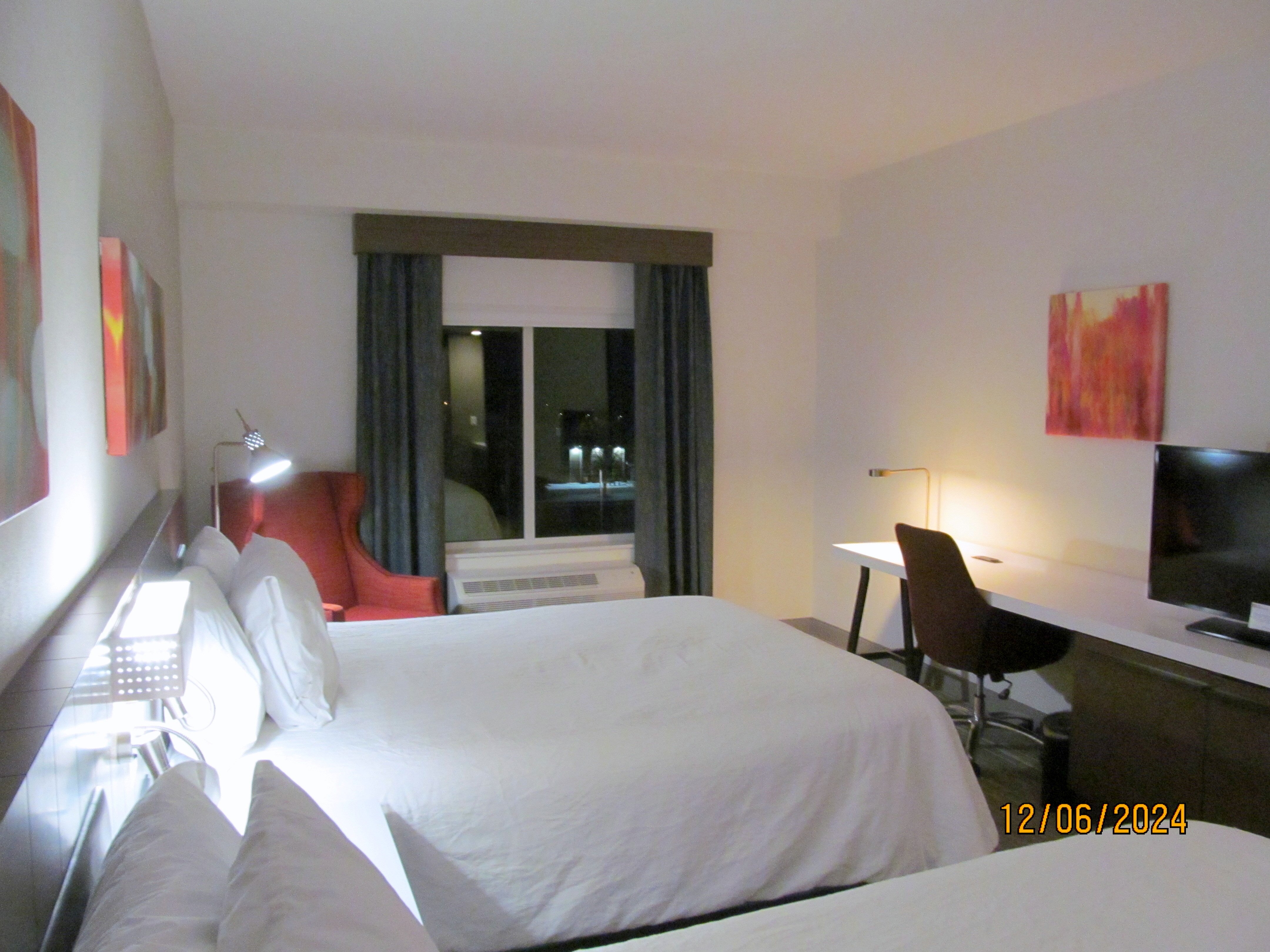 Hilton Garden Inn Lansing/west-客卧