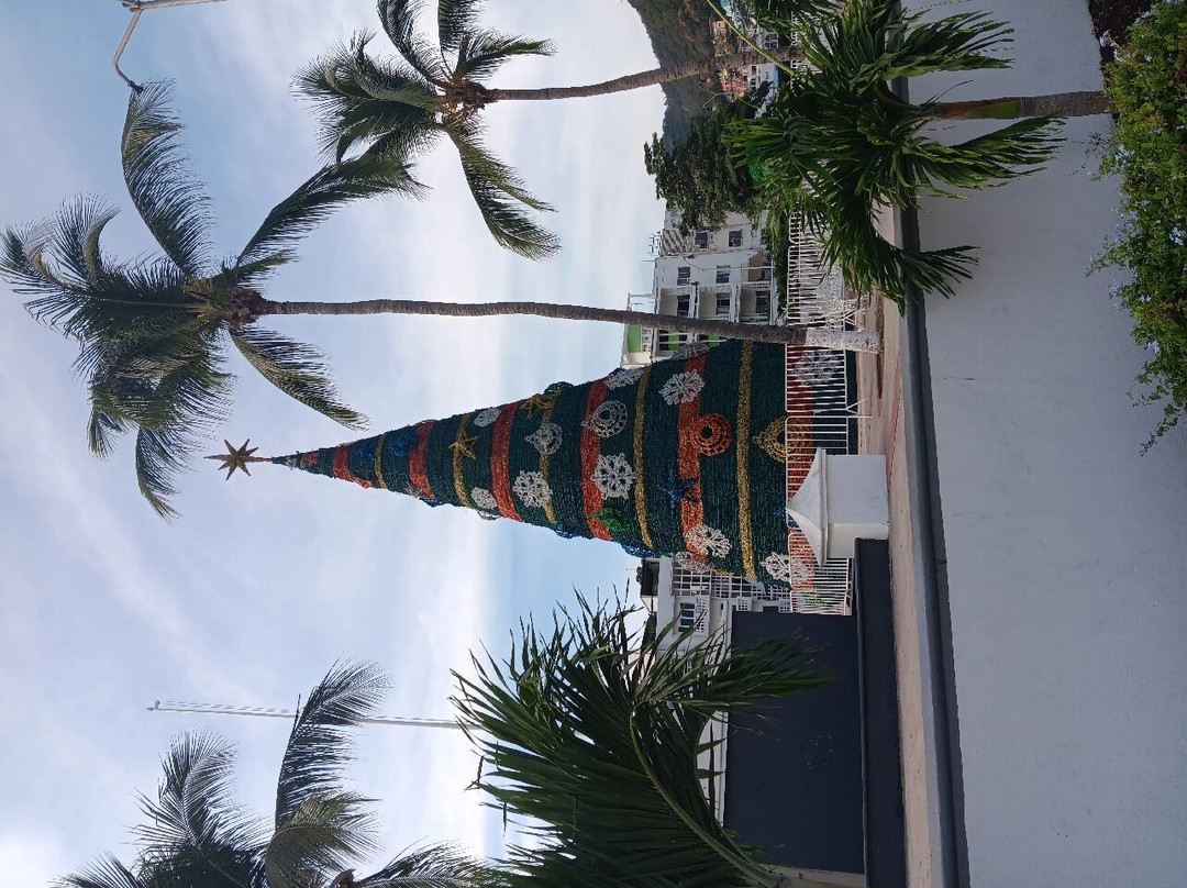 Malecón de Manzanillo-曼萨尼约必去景点