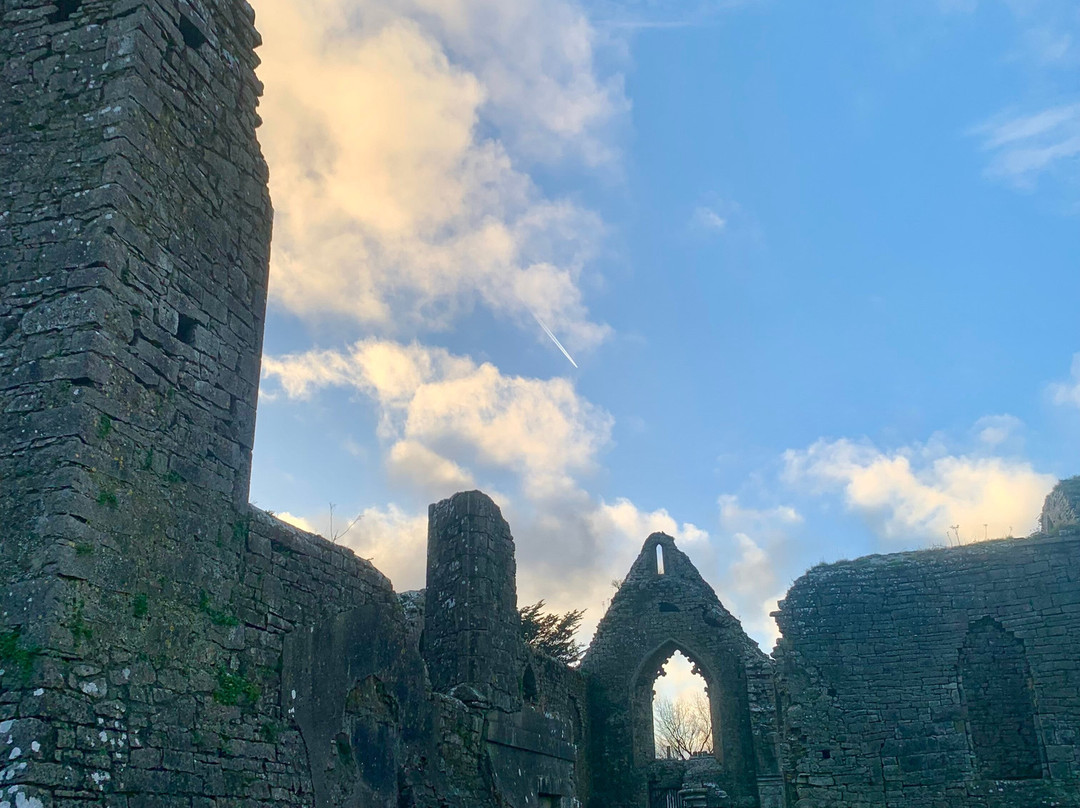 Roscommon Friary景点图片
