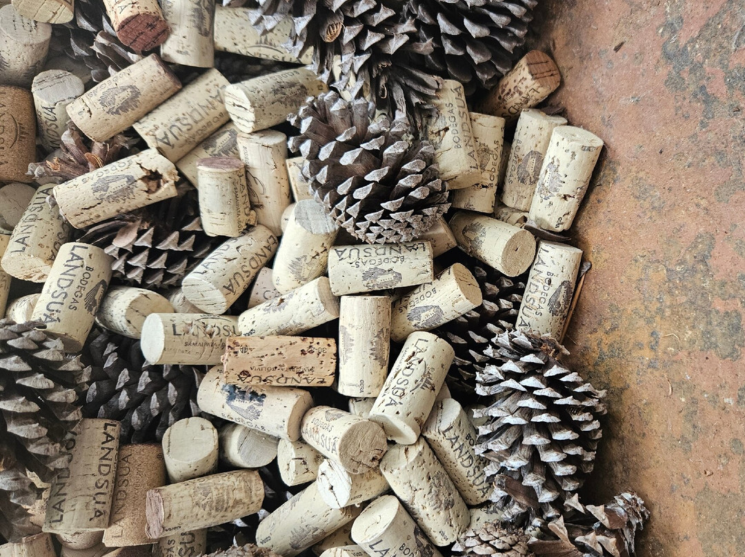 Bodegas Landsua-Samaipata必去景点