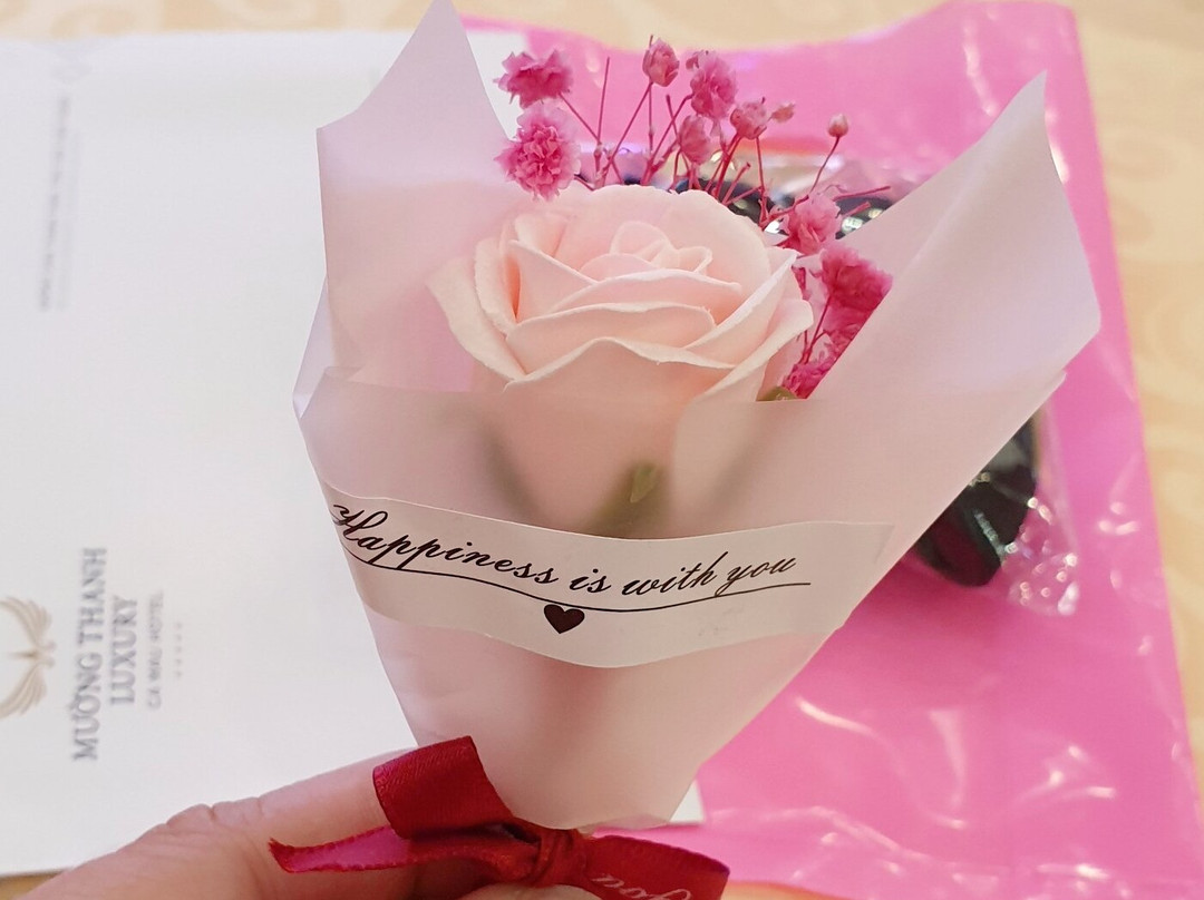 Muong Thanh Luxury Ca Mau Hotel主图