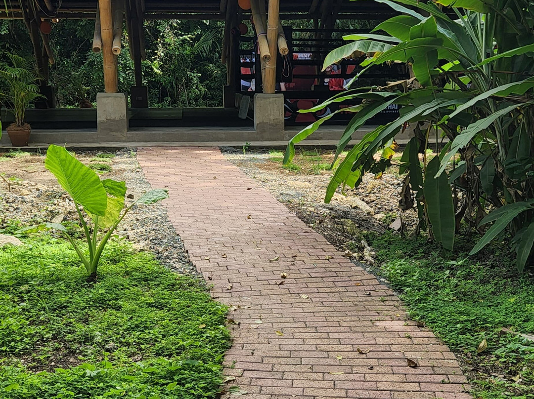 Tiger Muay Thai Bohol-Bolod必去景点