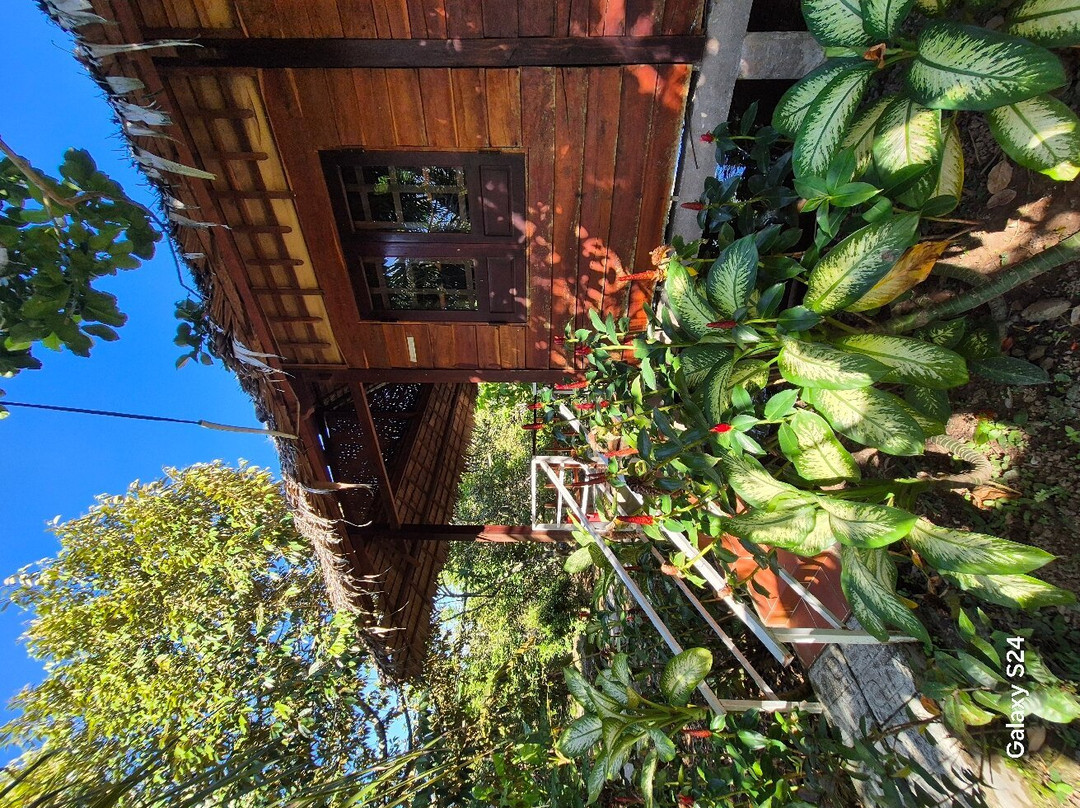 Quoc Phuong Riverside Homestay主图